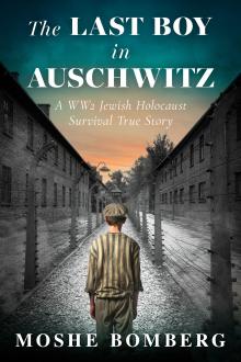 The Last Boy in Auschwitz