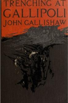 Trenching at Gallipoli by John Gallishaw