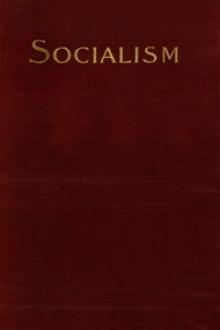 Socialism and the Social Movement in the 19th Century  by Werner Sombart