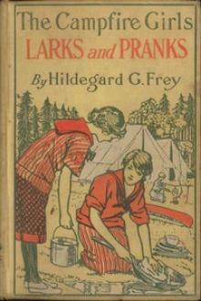 The Camp Fire Girls' Larks and Pranks by Hildegard G. Frey
