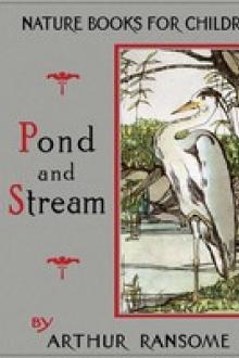 Pond and Stream by Arthur Ransome