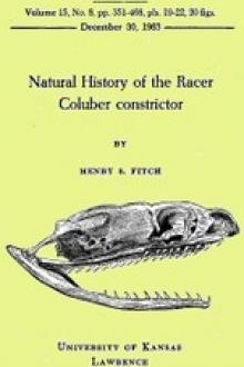 Natural History of the Racer Coluber constrictor by Henry S. Fitch