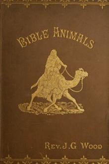 Bible Animals; by John George Wood