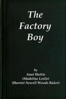 The Factory Boy by Madeline Leslie