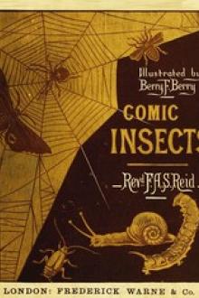 Comic Insects by Francis Andrew Spilsbury Reid