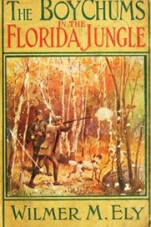 The Boy Chums in the Florida Jungle by Wilmer Mateo Ely
