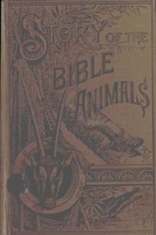 Story of the Bible Animals by John George Wood