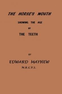 The Horse's Mouth by Edward Mayhew