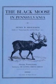 The Black Moose in Pennsylvania by Henry W. Shoemaker