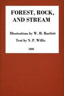 Forest, Rock, and Stream by Nathaniel Parker Willis