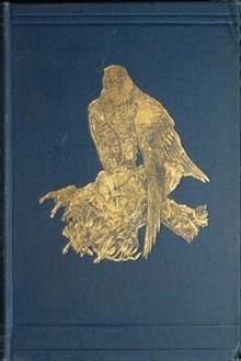 Tales of the birds by W. Warde Fowler