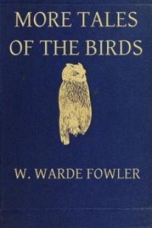 More Tales of the Birds by W. Warde Fowler