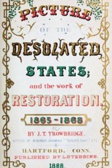 A Picture of the Desolated States by John Townsend Trowbridge