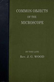 Common Objects of the Microscope by John George Wood