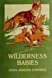 Wilderness Babies by Julia Augusta Schwartz