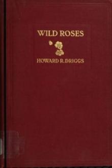 Wild Roses by Howard R. Driggs