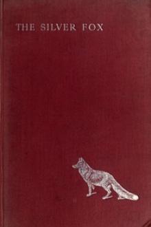 The Silver Fox by Violet Martin, Edith Oenone Somerville