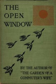 The Open Window by Mabel Osgood Wright