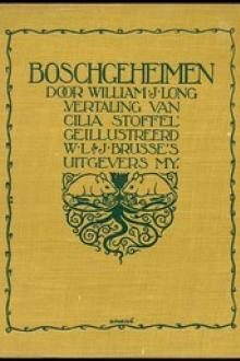 Boschgeheimen by William J. Long