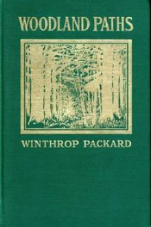 Woodland Paths by Winthrop Packard