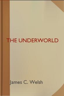 The Underworld by James C. Welsh