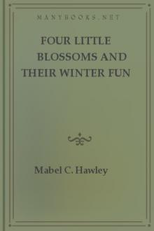 Four Little Blossoms and Their Winter Fun by Mabel C. Hawley