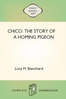 Chico: the Story of a Homing Pigeon by Lucy M. Blanchard