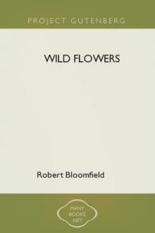 Wild Flowers by Robert Bloomfield