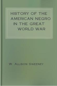 History of the American Negro in the Great World War by William Allison Sweeney