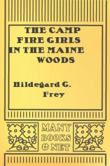 The Camp Fire Girls in the Maine Woods by Hildegard G. Frey
