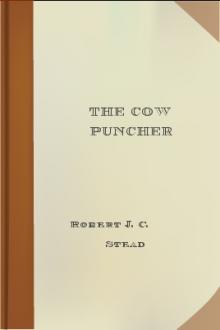 The Cow Puncher by Robert J. C. Stead