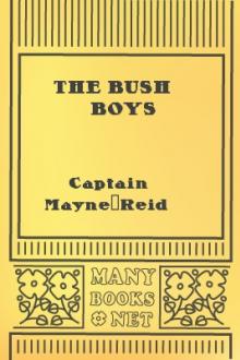 The Bush Boys by Mayne Reid