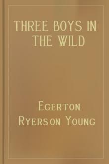 Three Boys in the Wild North Land by Egerton Ryerson Young