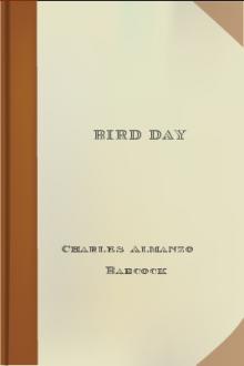 Bird Day by Charles Almanzo Babcock