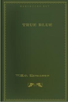True Blue by W. H. G. Kingston