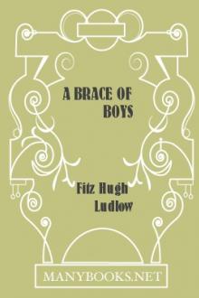A Brace of Boys by Fitz Hugh Ludlow