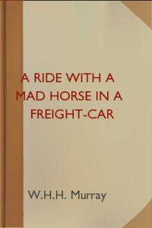 A Ride With A Mad Horse In A Freight-Car by W. H. H. Murray