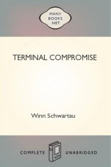 Terminal Compromise by Winn Schwartau