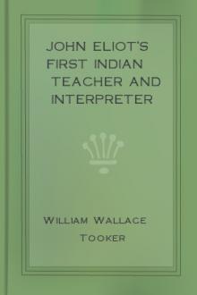 John Eliot's First Indian Teacher and Interpreter Cockenoe-de-Long Island by William Wallace Tooker