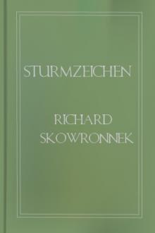 Sturmzeichen by Richard Skowronnek