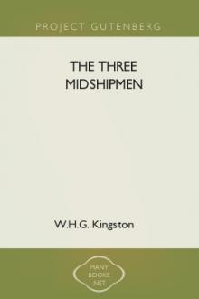 The Three Midshipmen by W. H. G. Kingston