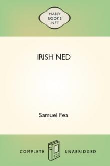 Irish Ned by Samuel Fea