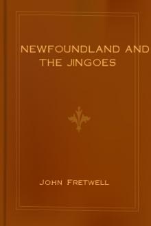 Newfoundland and the Jingoes by John Fretwell