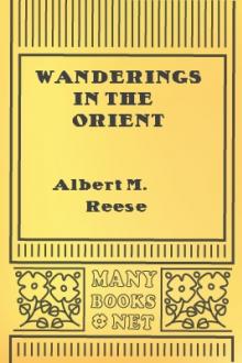 Wanderings in the Orient by Albert Moore Reese
