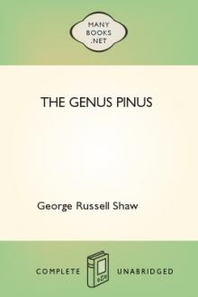 The Genus Pinus by George Russell Shaw