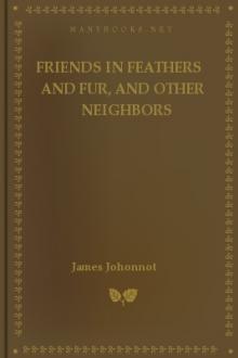 Friends in Feathers and Fur, and Other Neighbors by James Johonnot