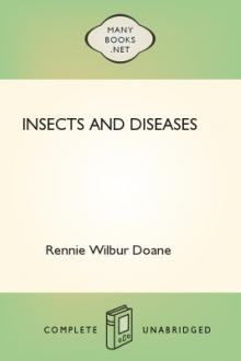 Insects and Diseases by Rennie Wilbur Doane
