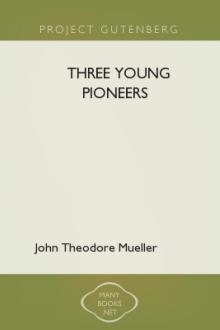 Three Young Pioneers by John Theodore Mueller