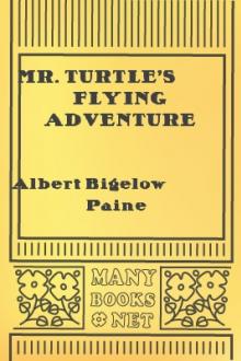 Mr. Turtle's Flying Adventure by Albert Bigelow Paine