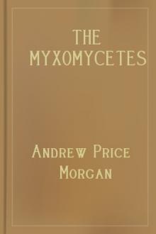 The Myxomycetes of the Miami Valley, Ohio by Andrew Price Morgan